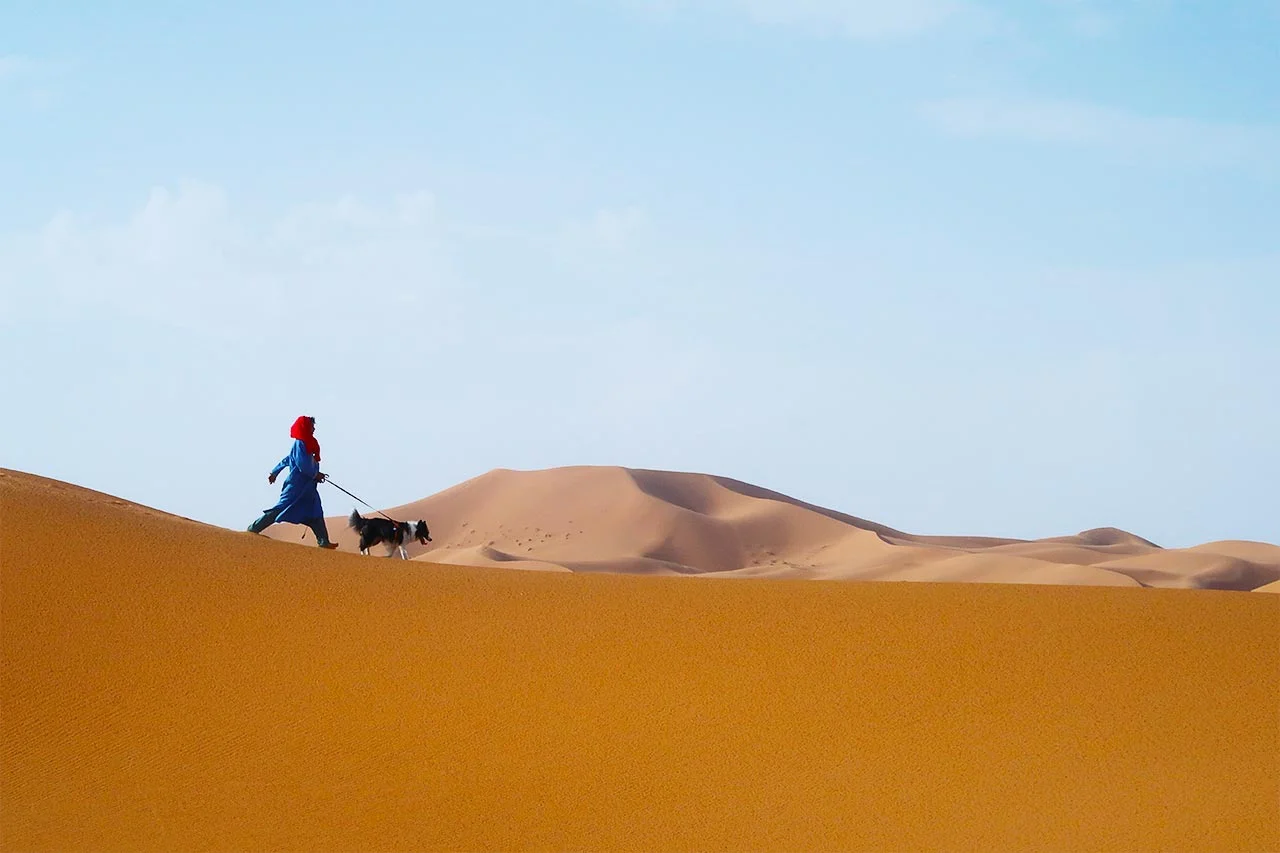 Sahara desert dune tour - Tuga.me