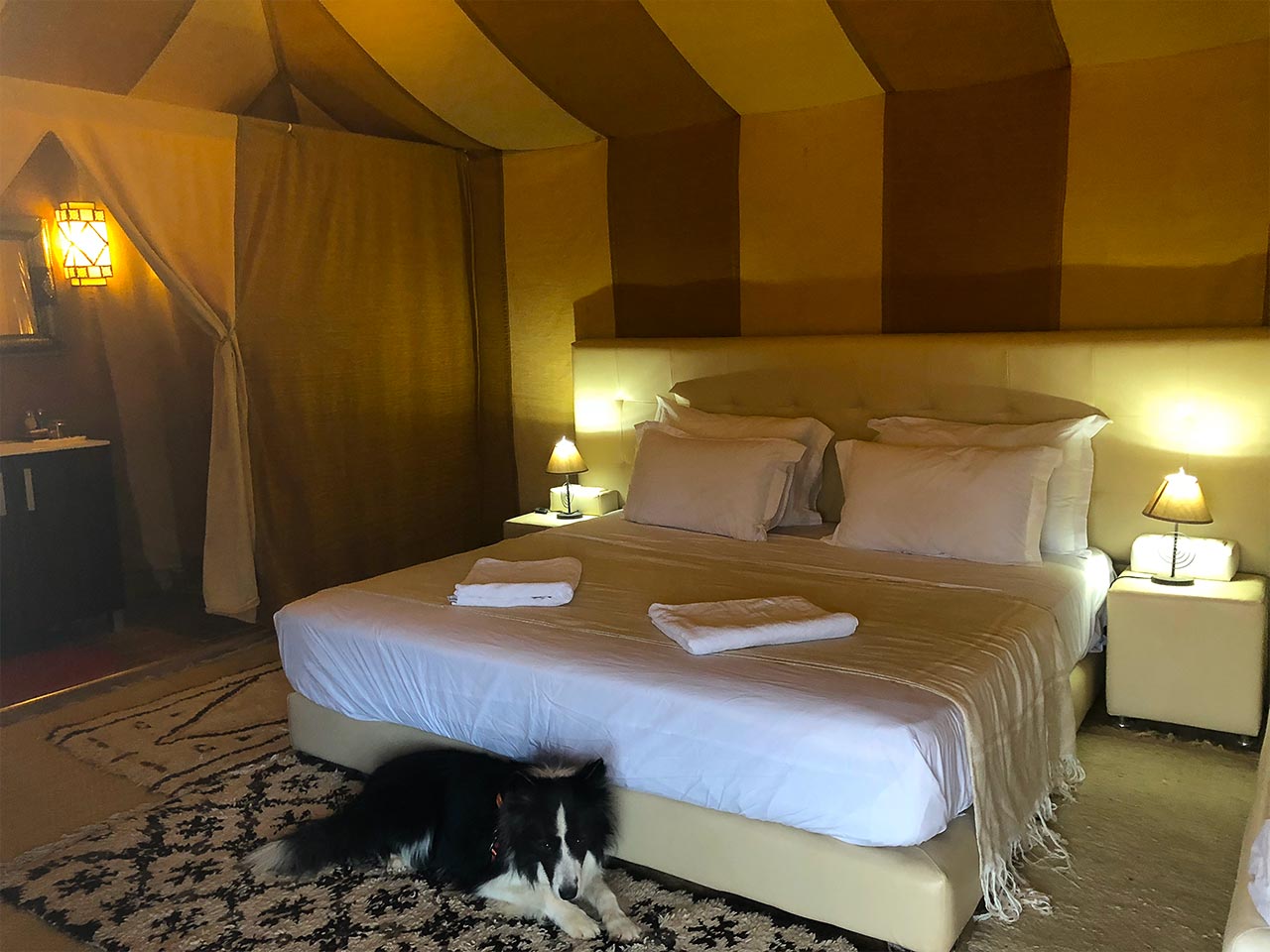 Night in the desert in a luxury tent - Tuga.me