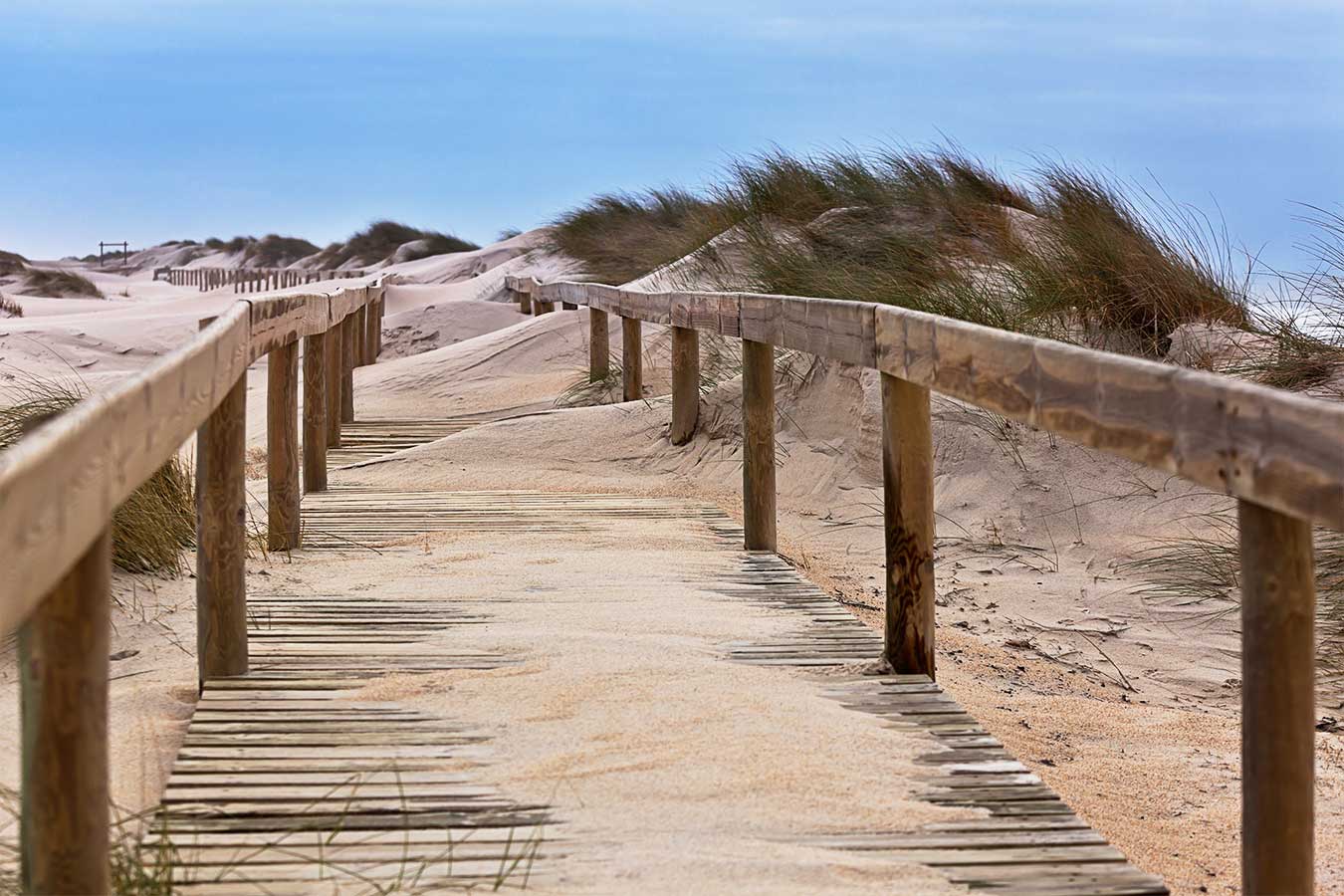 Part of Barrinha de Esmoriz walkways route, near the dunes in Esmoriz, Aveiro district, Portugal.