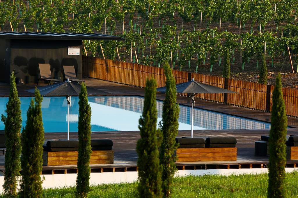 Torre Palma Wine Hotel pool, in Monforte