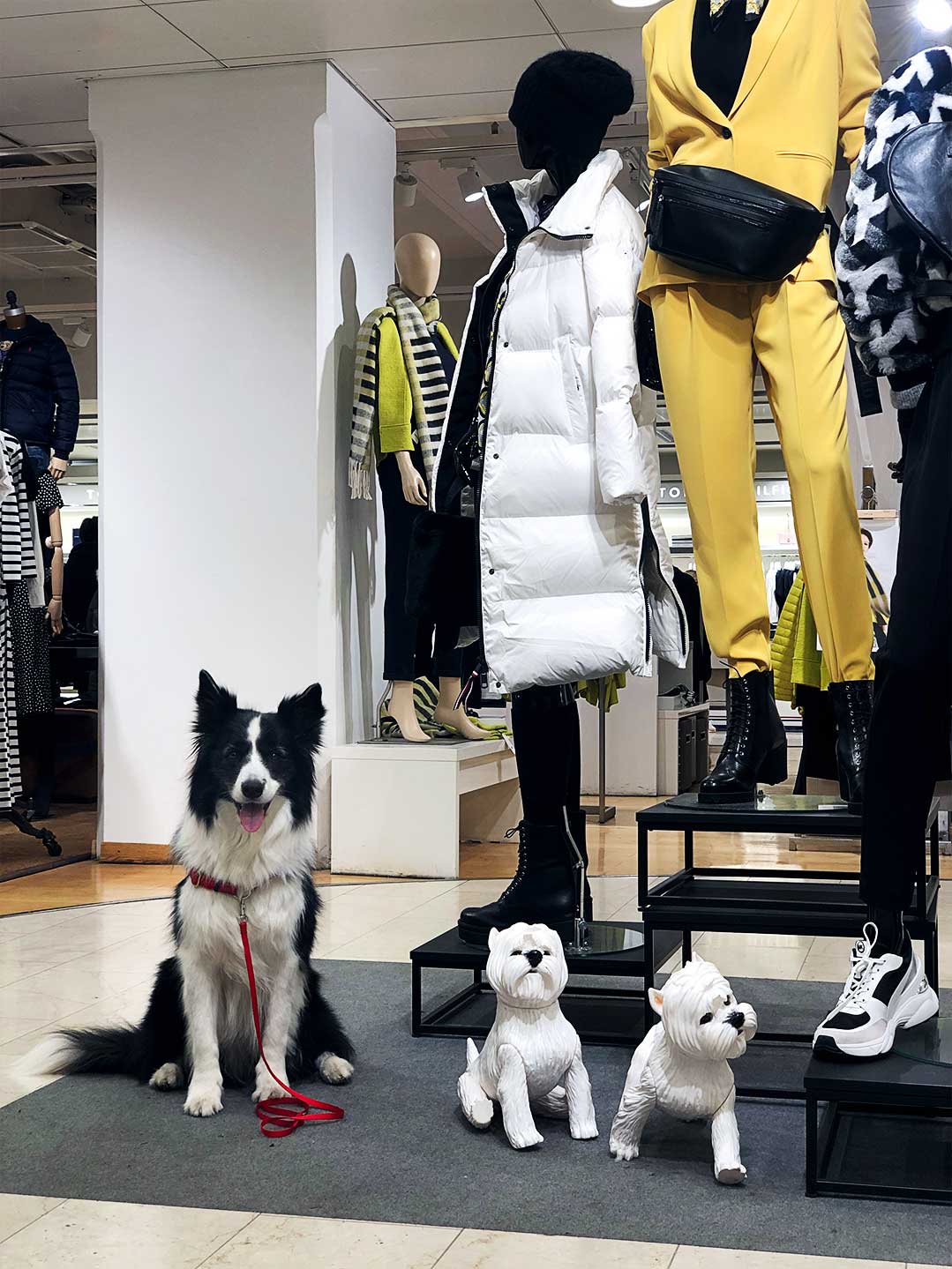 Rafa with mannequins in a clothing store at Stockmann, Helsinki, Finland.