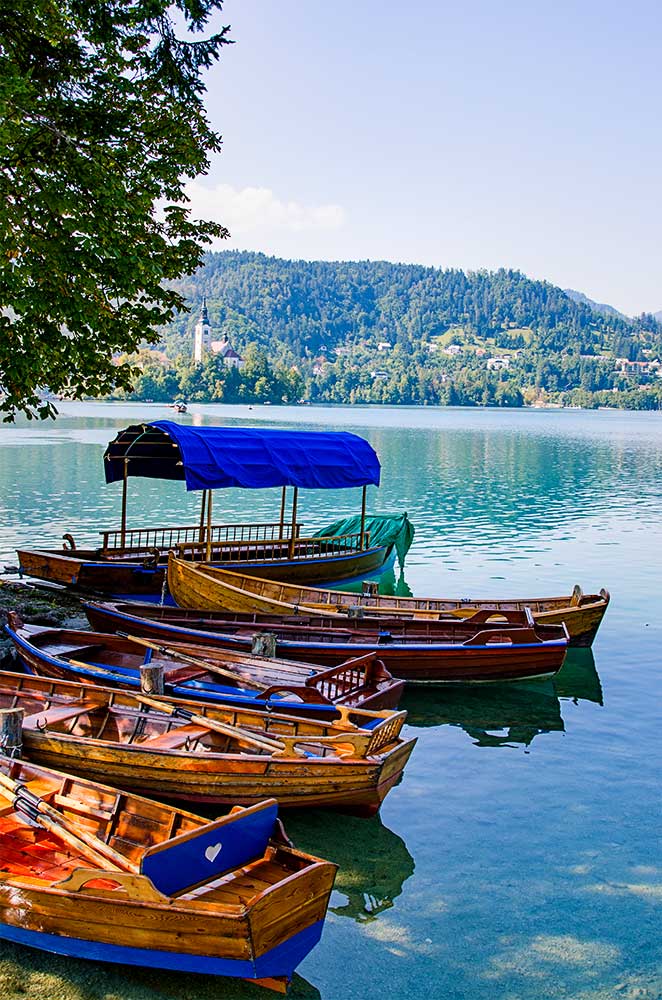 Barcos em madeira, típicos do Lago Bled, na Eslovénia.