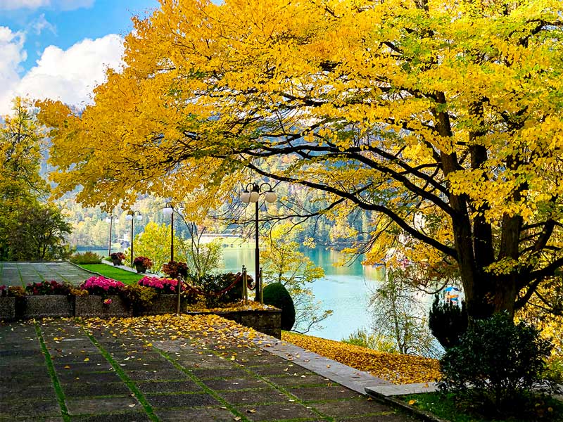 Vista para o Lago Bled e árvores com folhas amareladas num pequeno terraço.