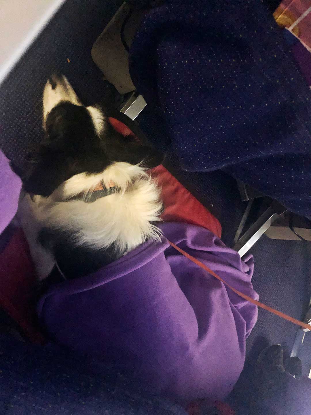 Rafa a dormir durante o voo até Cancún.