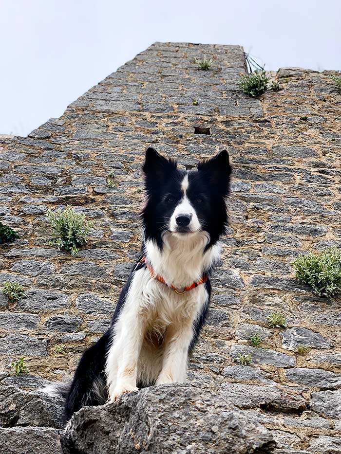 Rafa at Kliss Fortress, in Split