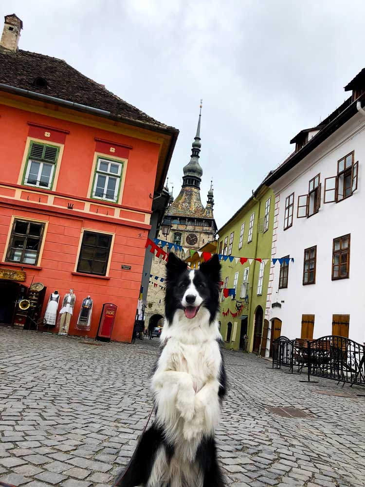 Rafa in the main square of Sighisoara.