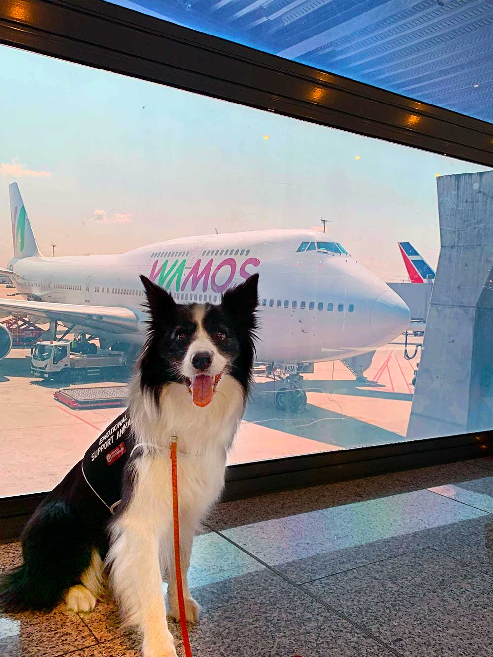 Rafa com o avião da Wamos Air em fundo, no aeroporto.