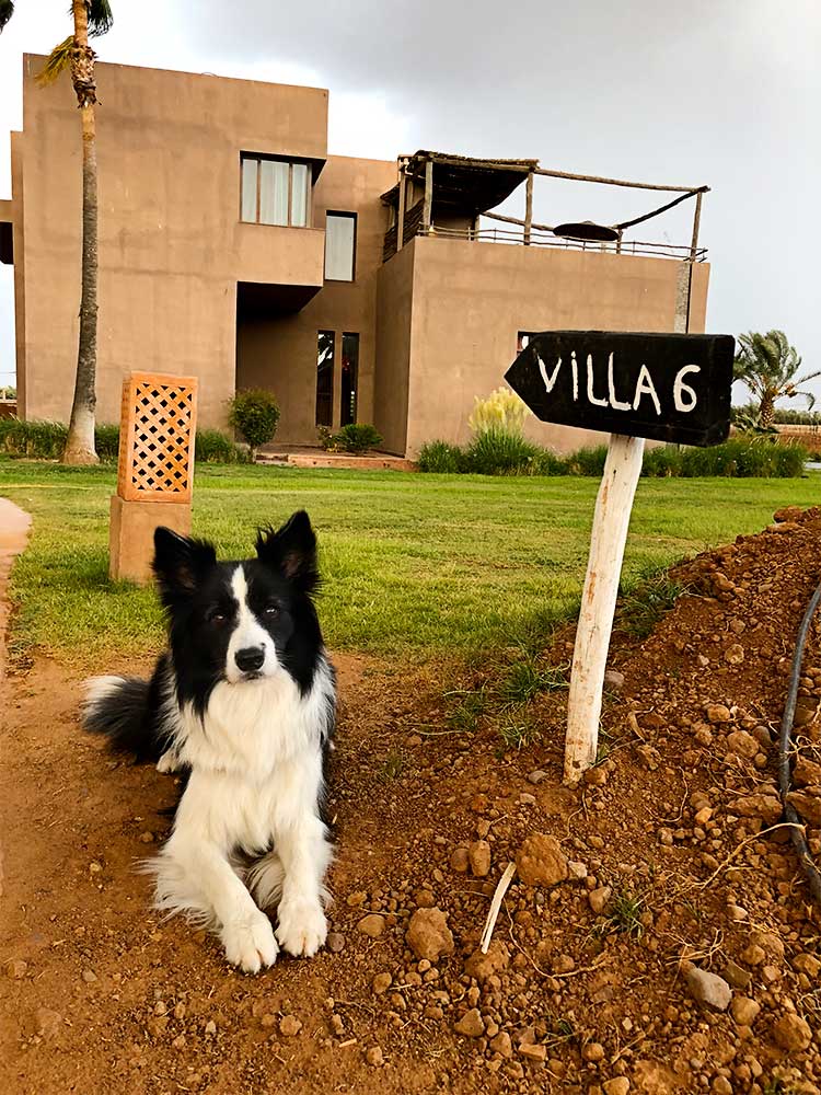 Rafa deitado no chão, ao lado de uma placa indicativa que diz "Villa 6" no hotel Fellah