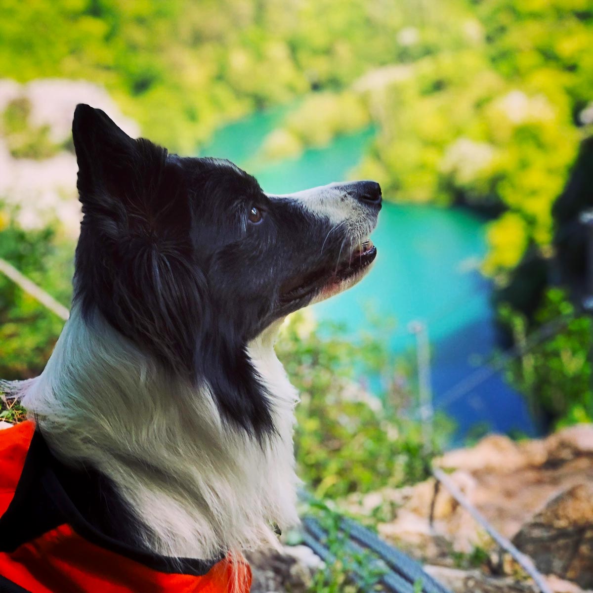 Rafa com a vista sobre o rio Cetina em fundo