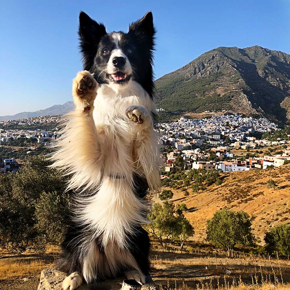 Rafa com uma vista sobre Chefchaouen por trás de si, em Marrocos