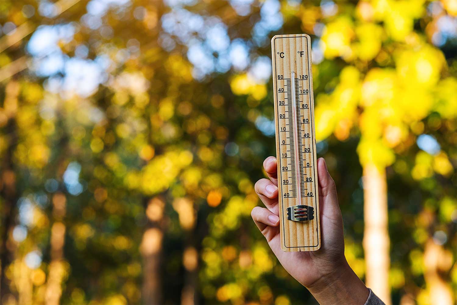 Image of thermometer marking 30 degrees