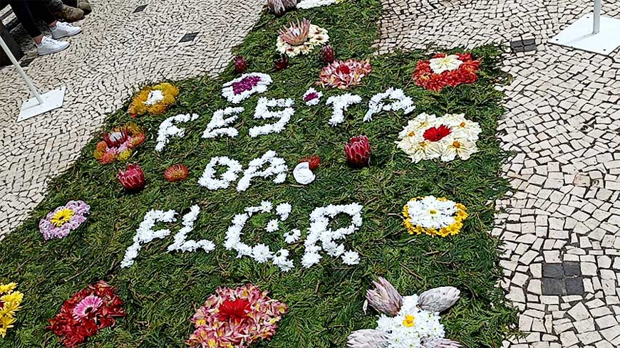 Arranjo de flores no chão para a festa da flor na Madeira.