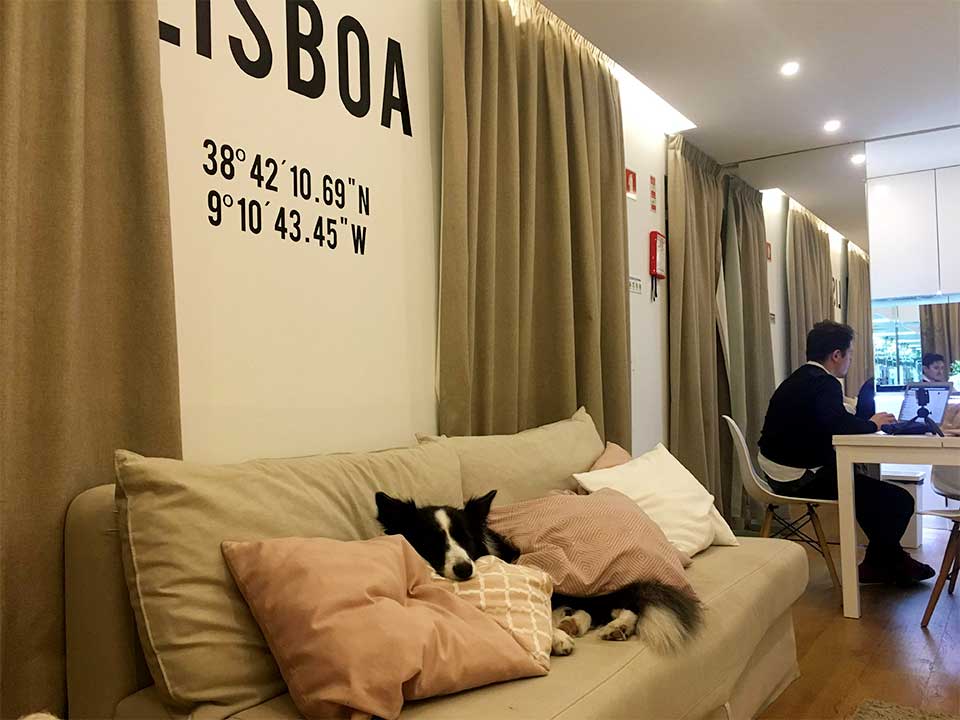 Pedro junto ao portátil e Rafa deitado no sofá num alojamento local, perto do LX Factory, em Lisboa