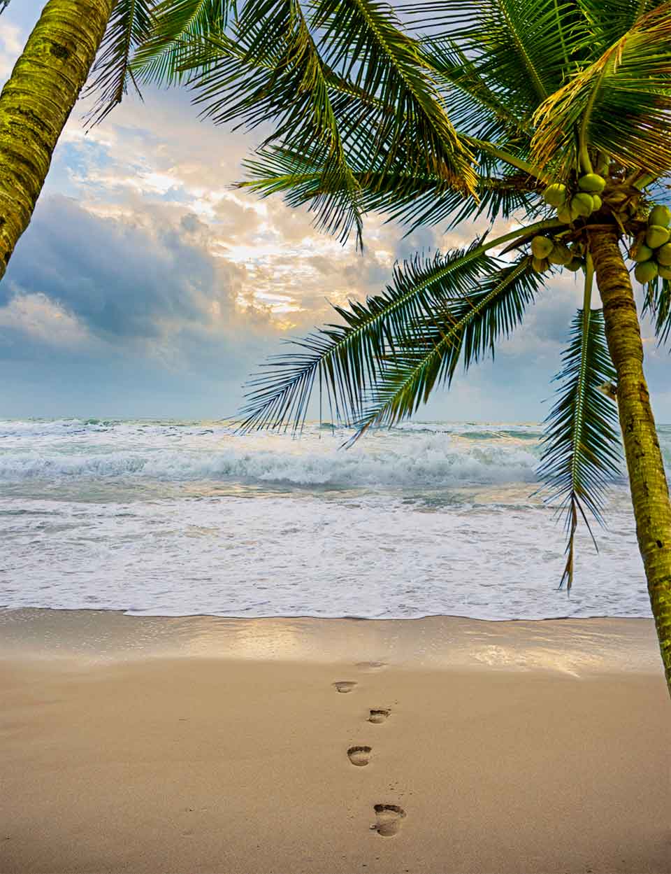 Pegadas na areia até ao mar numa praia de clima tropical do Brasil, com palmeiras.